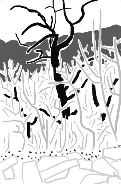 장병언, Digital Drawing, digital_work, 2026